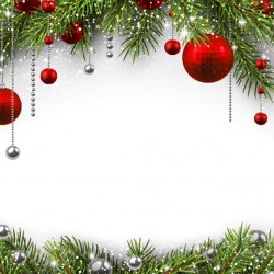 Vánoce - větvička + červené koule