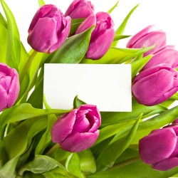 Tulipány + kartička s věnováním